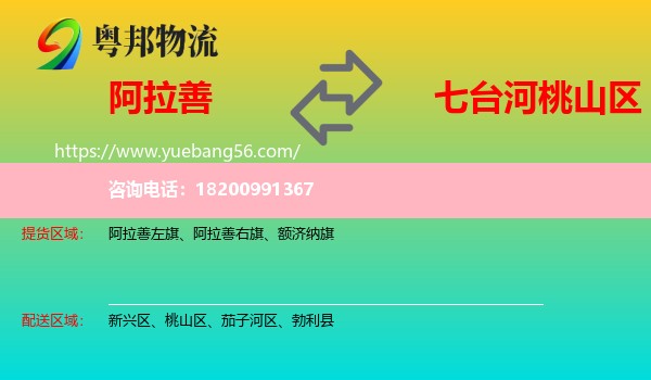 阿拉善盟到桃山區(qū)物流