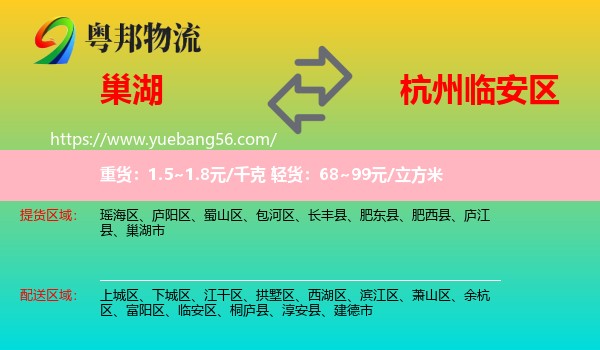 巢湖市到臨安區(qū)物流