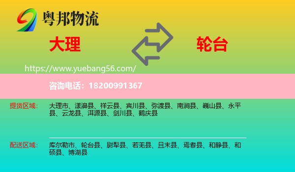 大理到輪臺縣物流