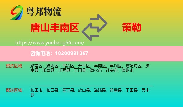 豐南區(qū)到策勒縣物流