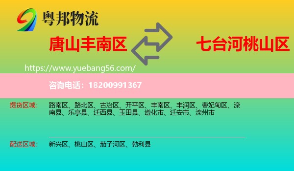 豐南區(qū)到桃山區(qū)物流