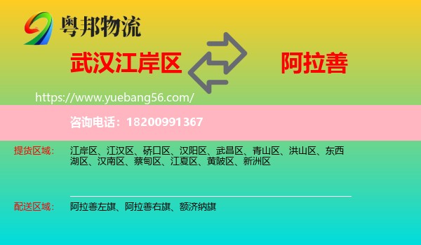 江岸區(qū)到阿拉善盟物流