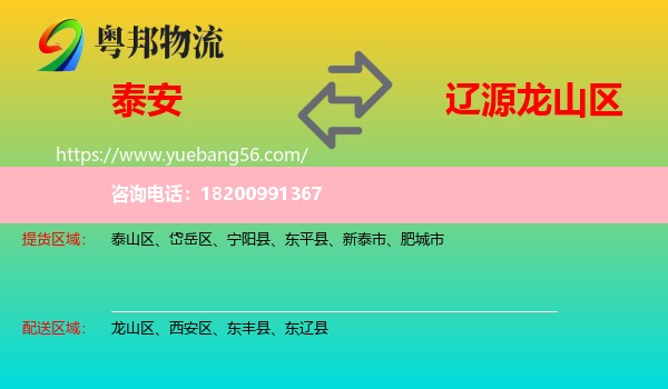 泰安到龍山區(qū)物流