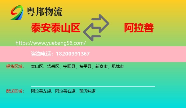 泰山區(qū)到阿拉善盟物流