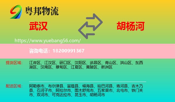 武漢到胡楊河市物流