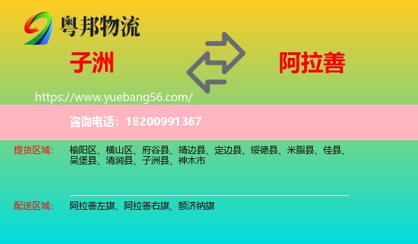 子洲縣到阿拉善盟物流